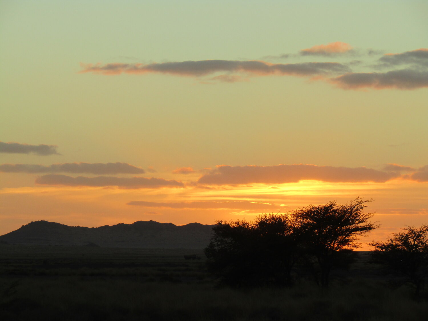 Fieldwork in Africa