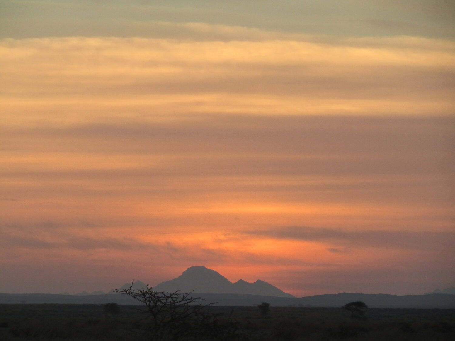 Fieldwork in Africa