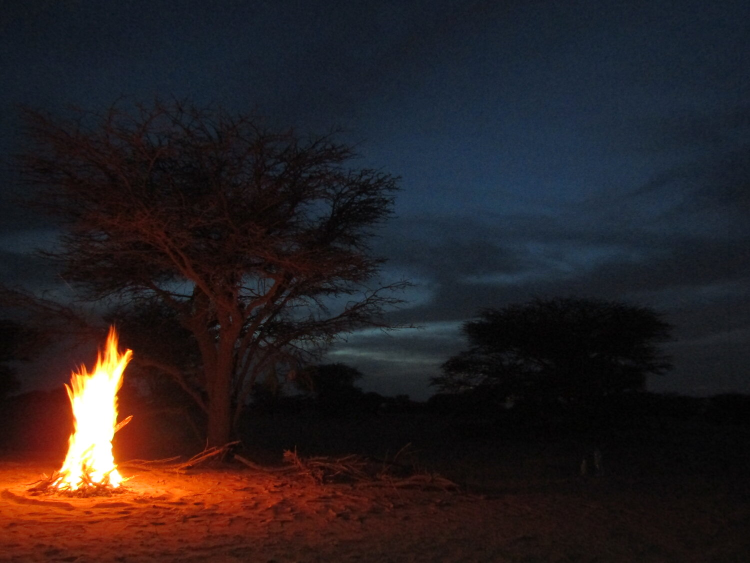 Fieldwork in Africa
