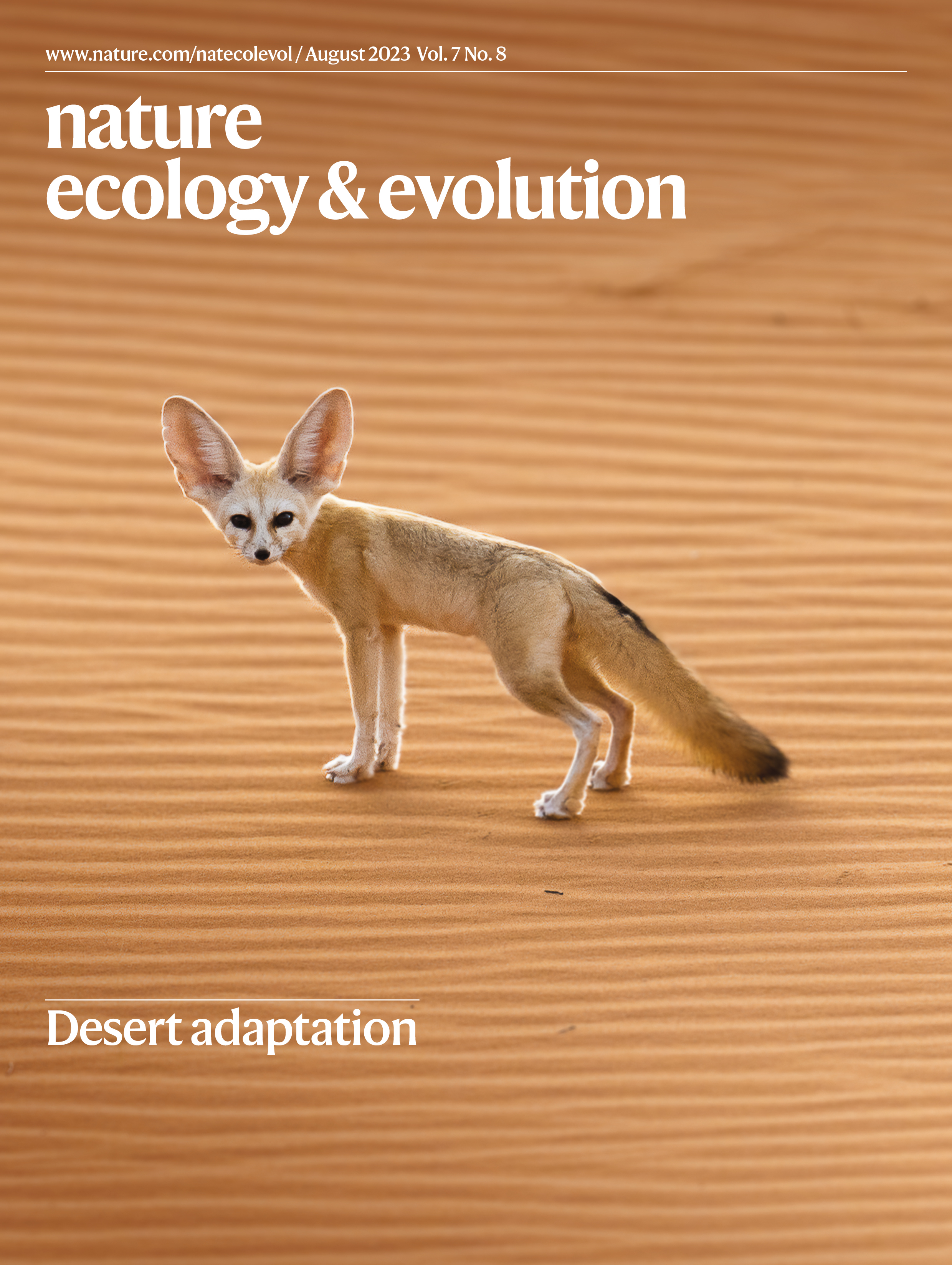 fennec_cover.jpeg